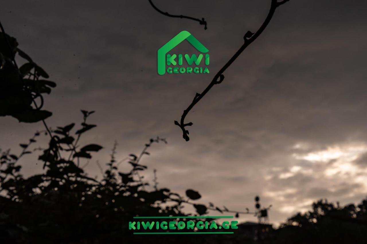Вилла Kiwi Georgia Кобулети Экстерьер фото