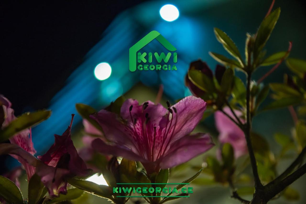 Вилла Kiwi Georgia Кобулети Экстерьер фото