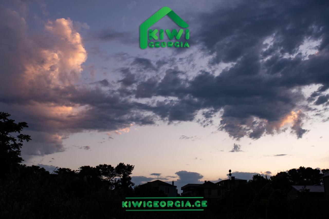 Вилла Kiwi Georgia Кобулети Экстерьер фото